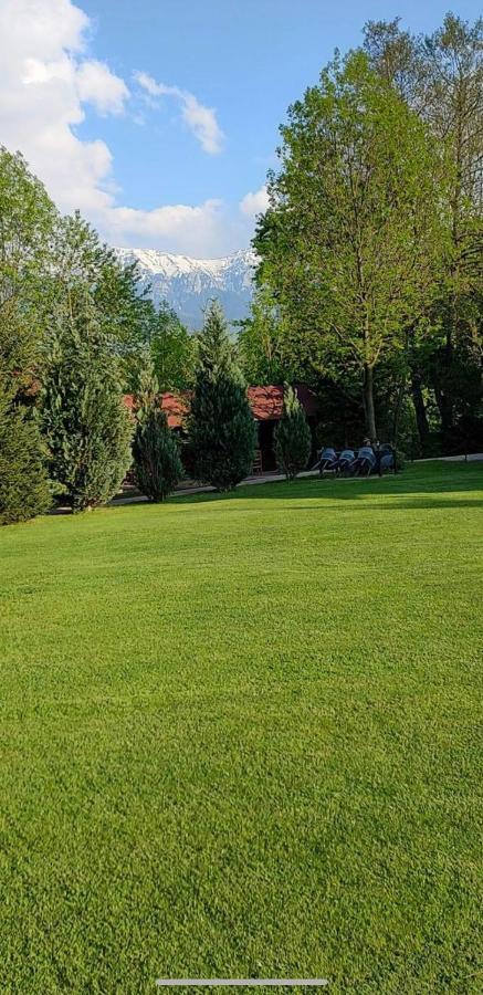 Hotel Garden Retreat Junior (Adults Only) Bran  Esterno foto